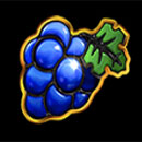 Jolly Queen Grape